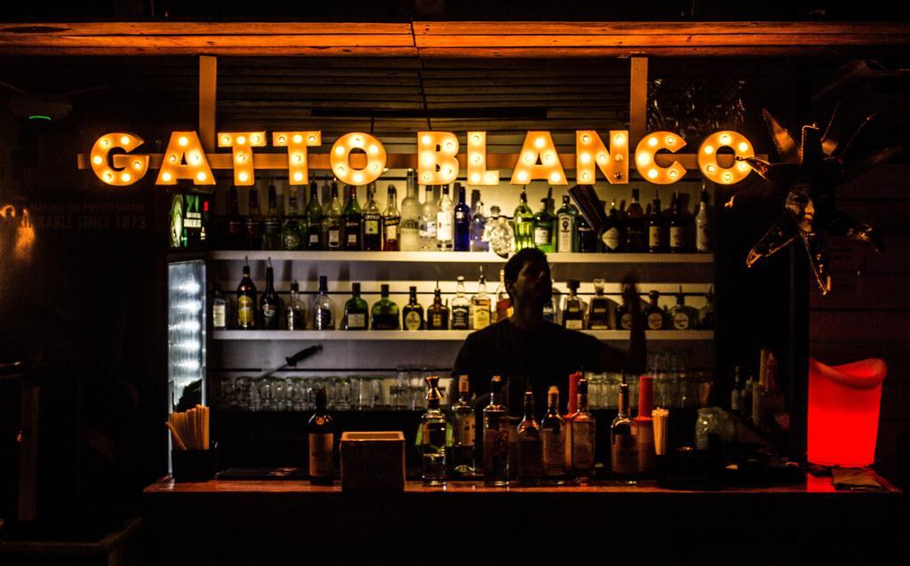 Gatto Blanco Party Hotel ปานามาซิตี้ ภายนอก รูปภาพ